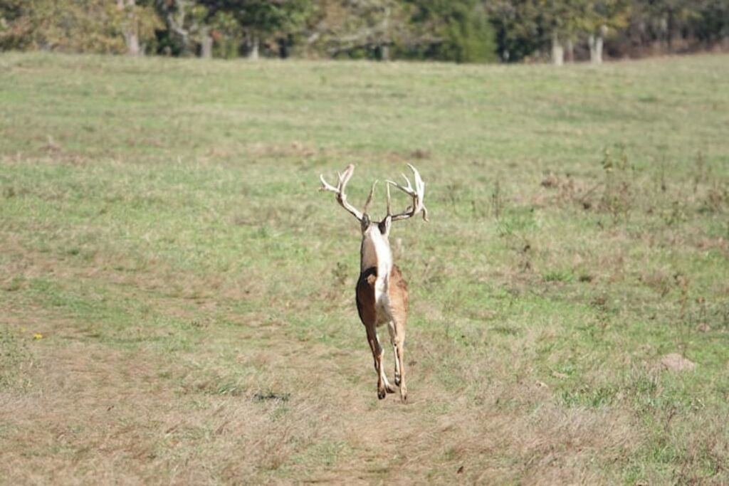 Photo of Others in Stilwell