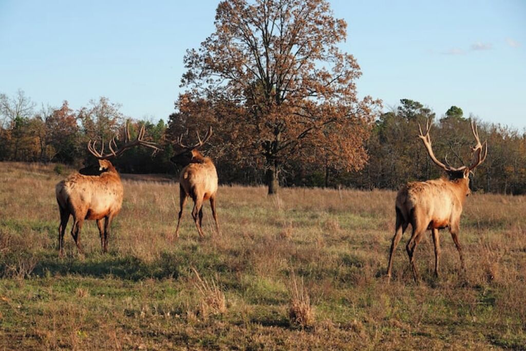 Photo of Others in Stilwell