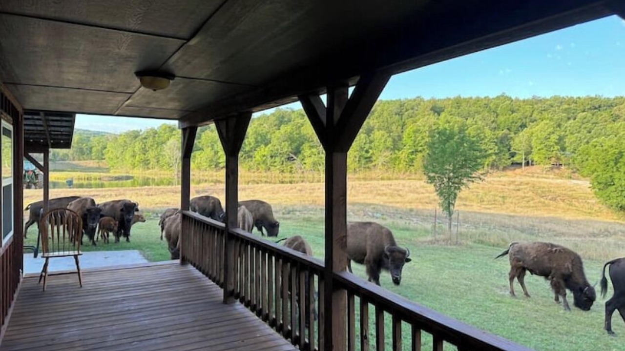 Photo of Patio Balcony in Stilwell