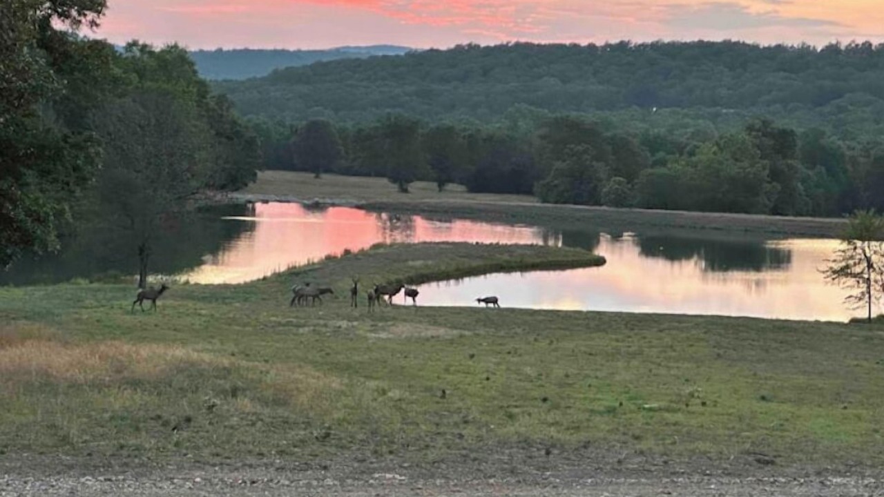 Photo of Others in Stilwell