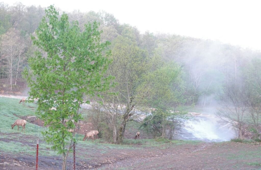 Photo of Others in Stilwell