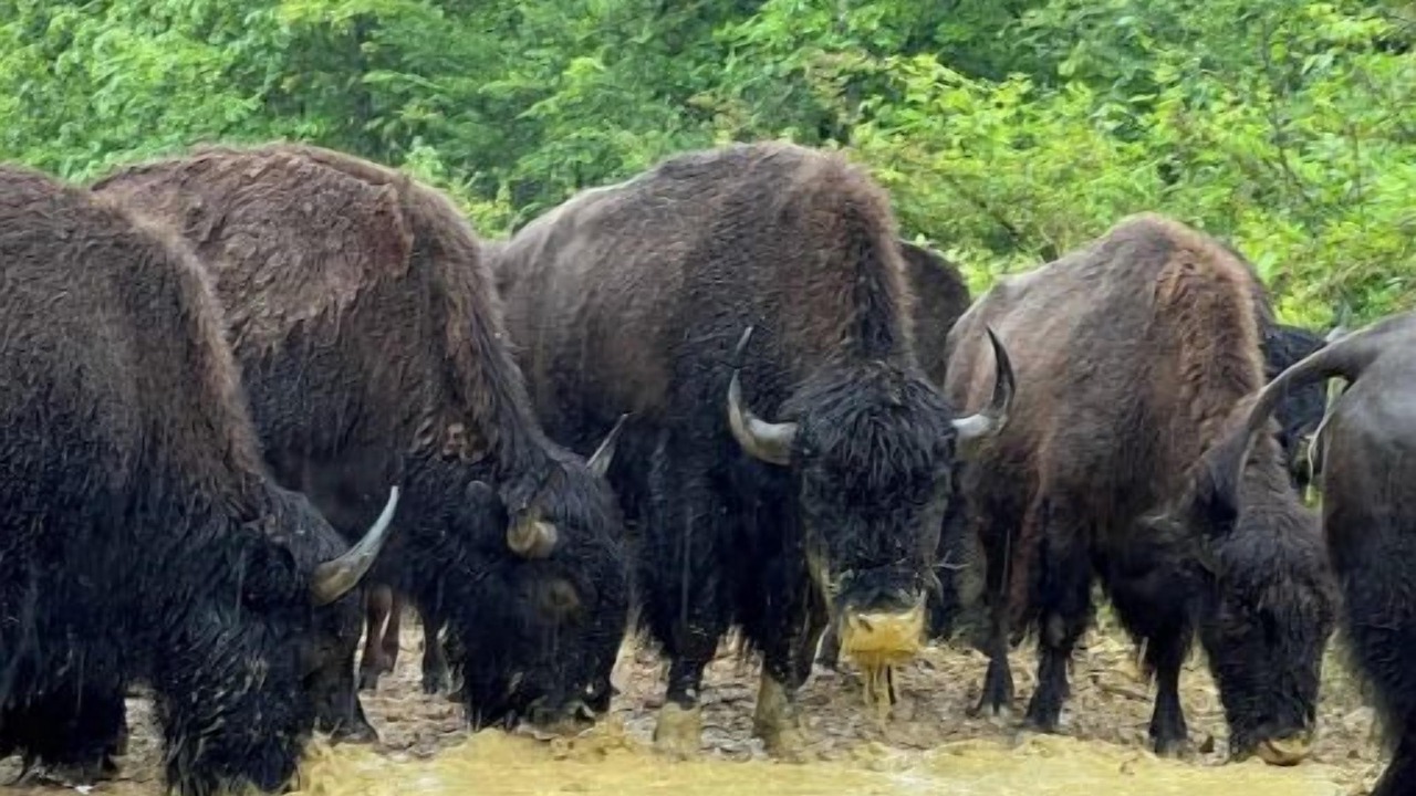 Photo of Others in Stilwell
