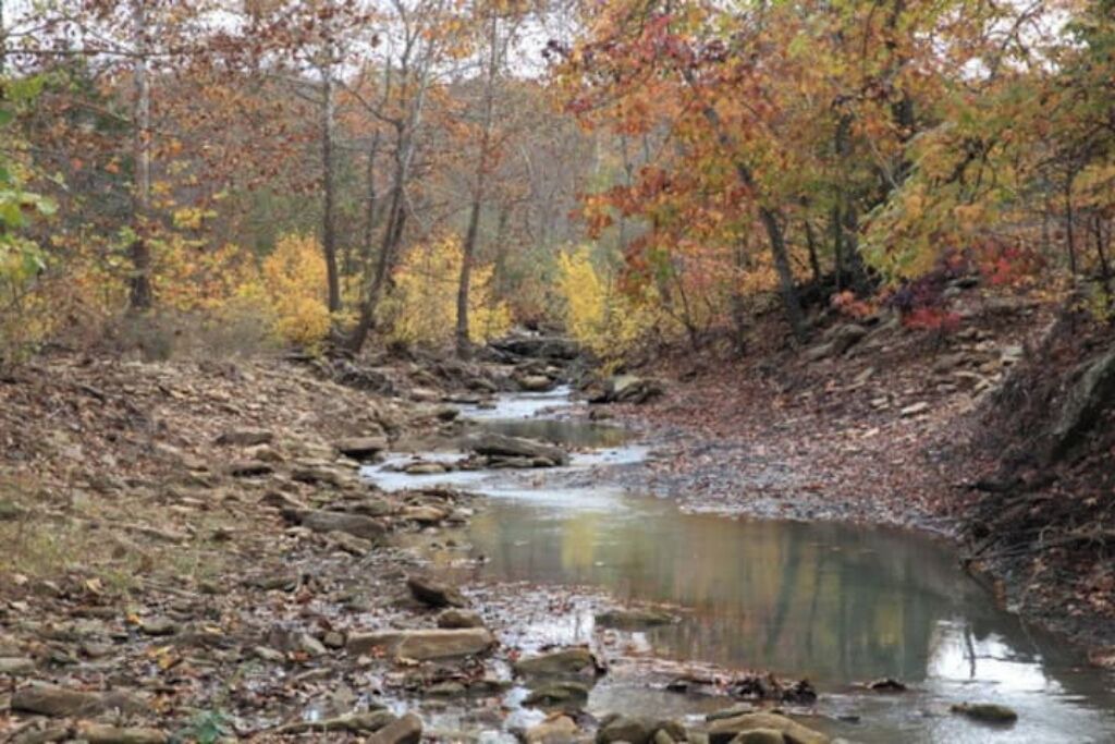 Photo of Outdoor in Stilwell