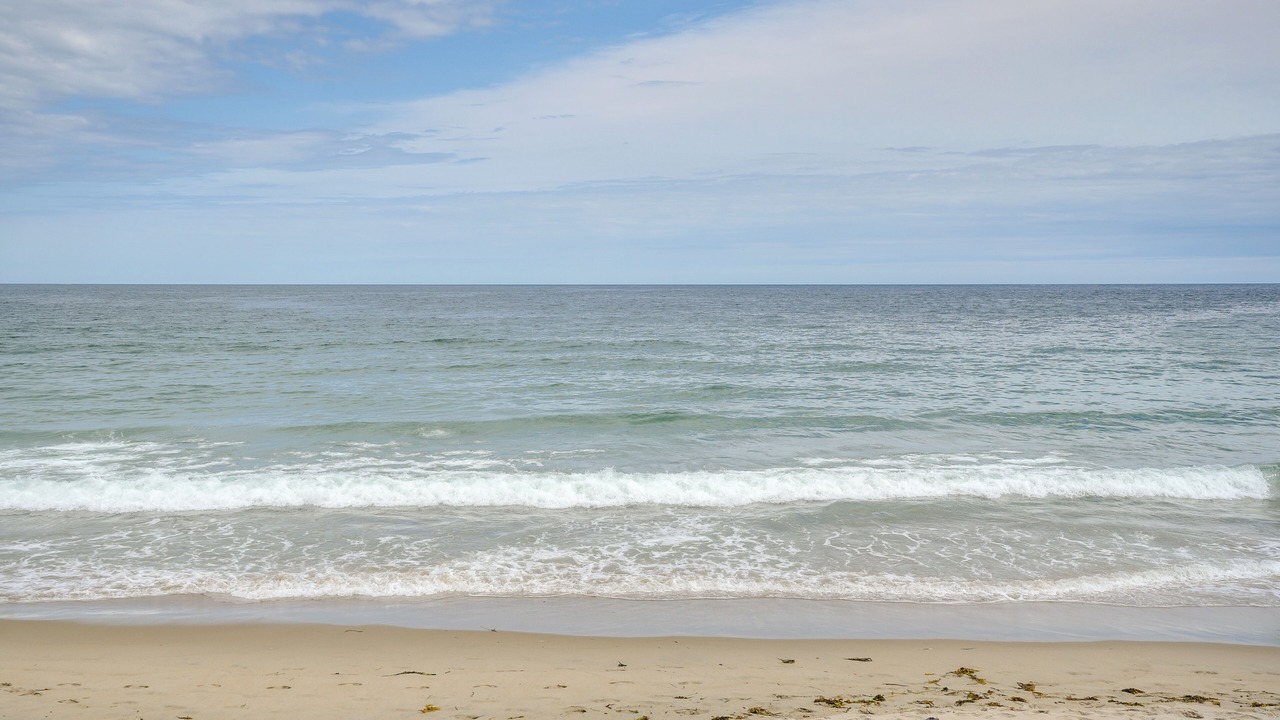 Photo of Others in Rockport