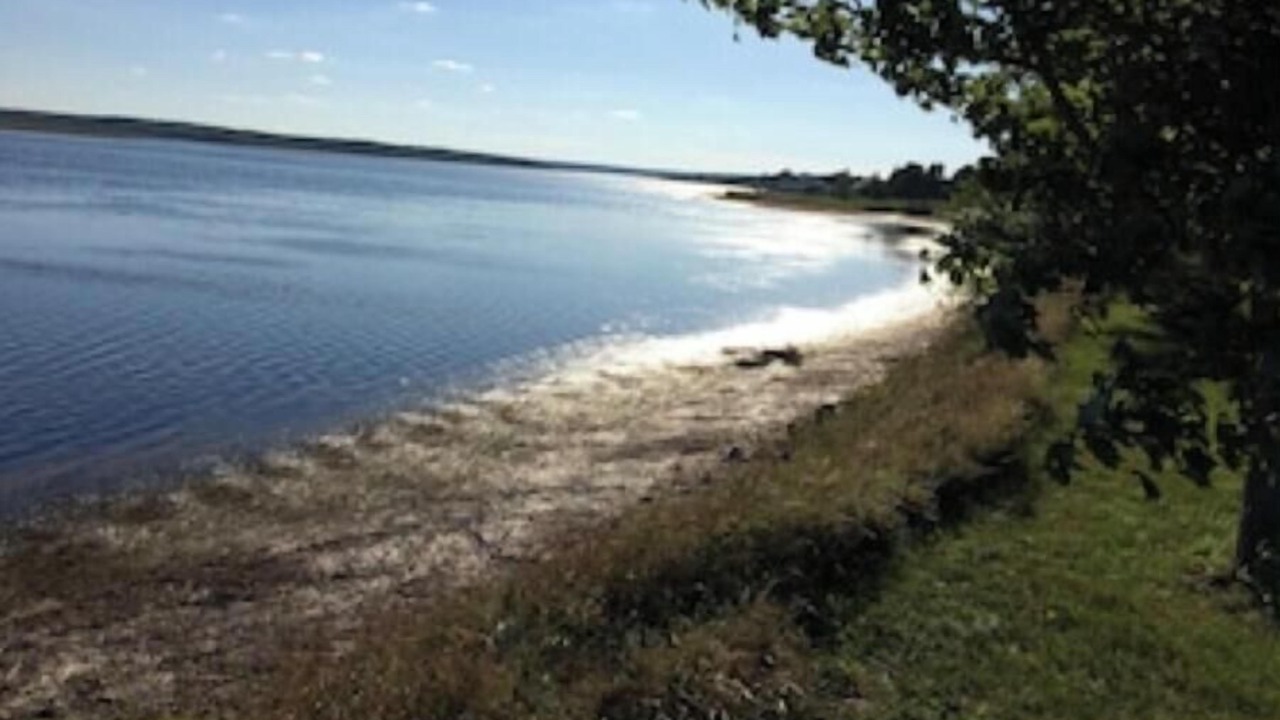 Photo of Others in Shediac