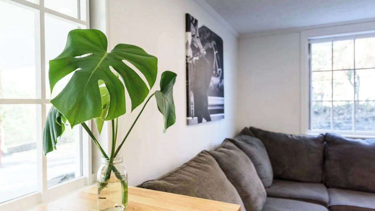Photo of Livingroom in Bashford Manor