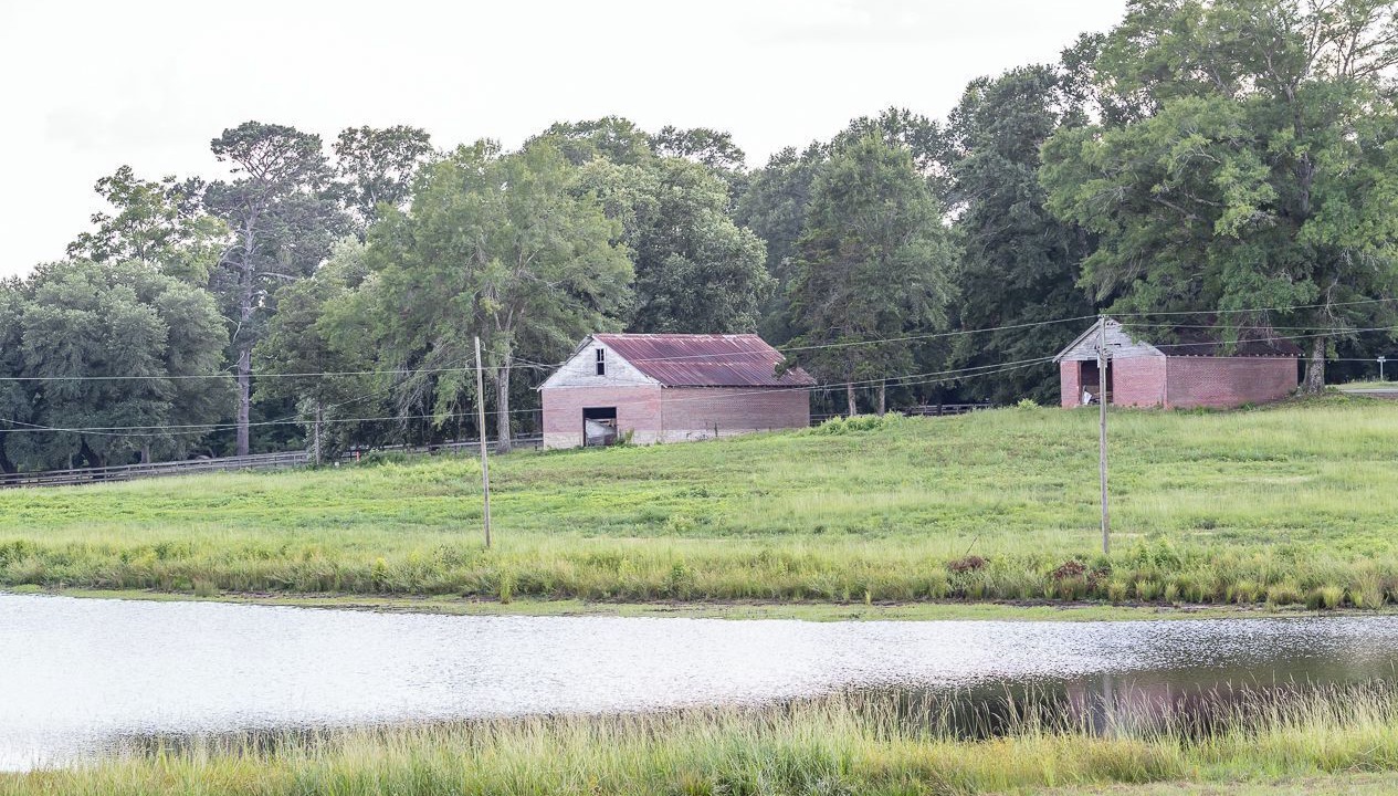 Photo of Others in Lincoln Parish