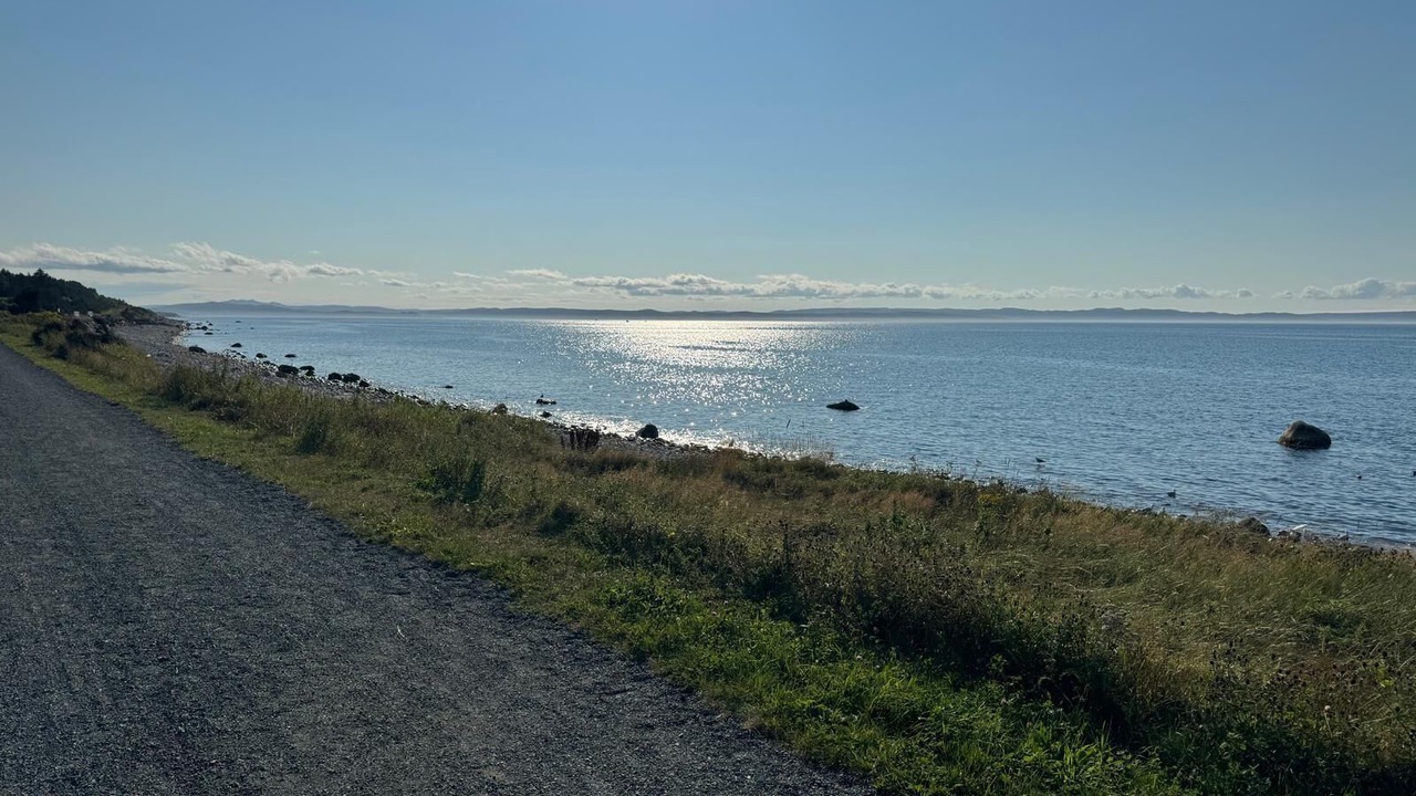 Photo of Others in Conception Bay South