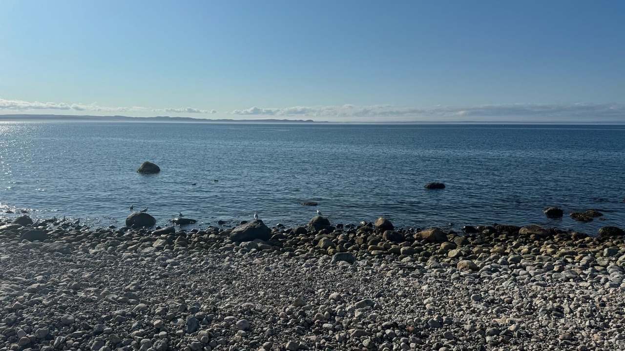 Photo of Others in Conception Bay South