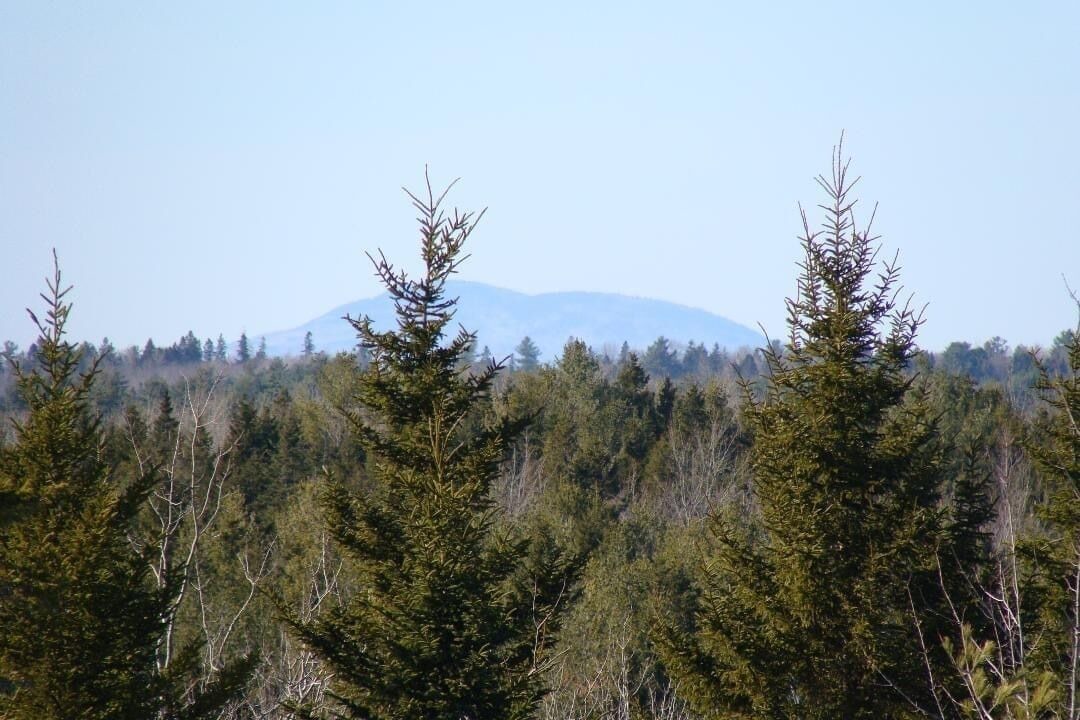 Photo of Others in Milbridge
