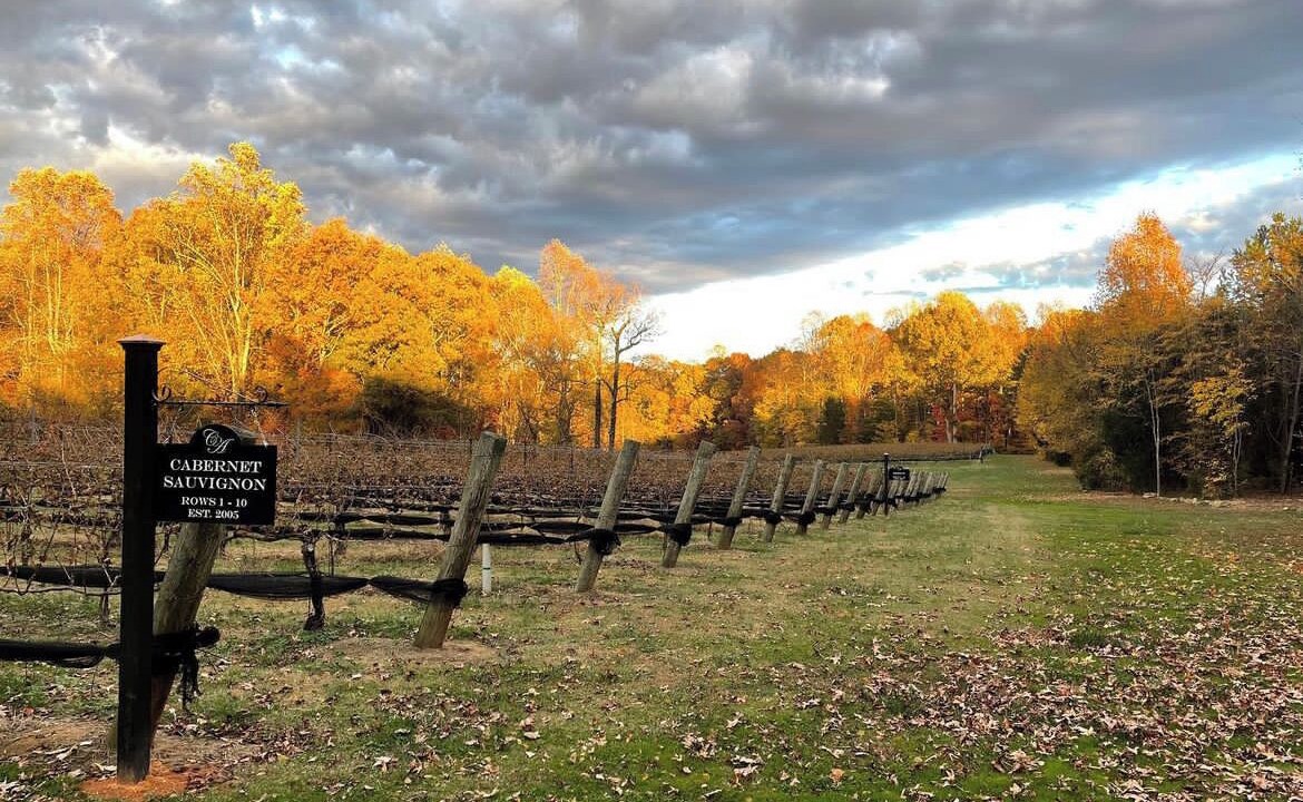 Photo of Outdoor in Lexington