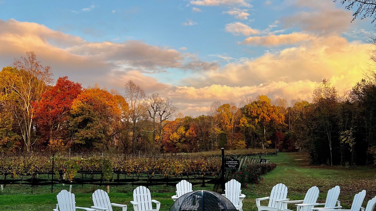 Photo of Outdoor in Lexington