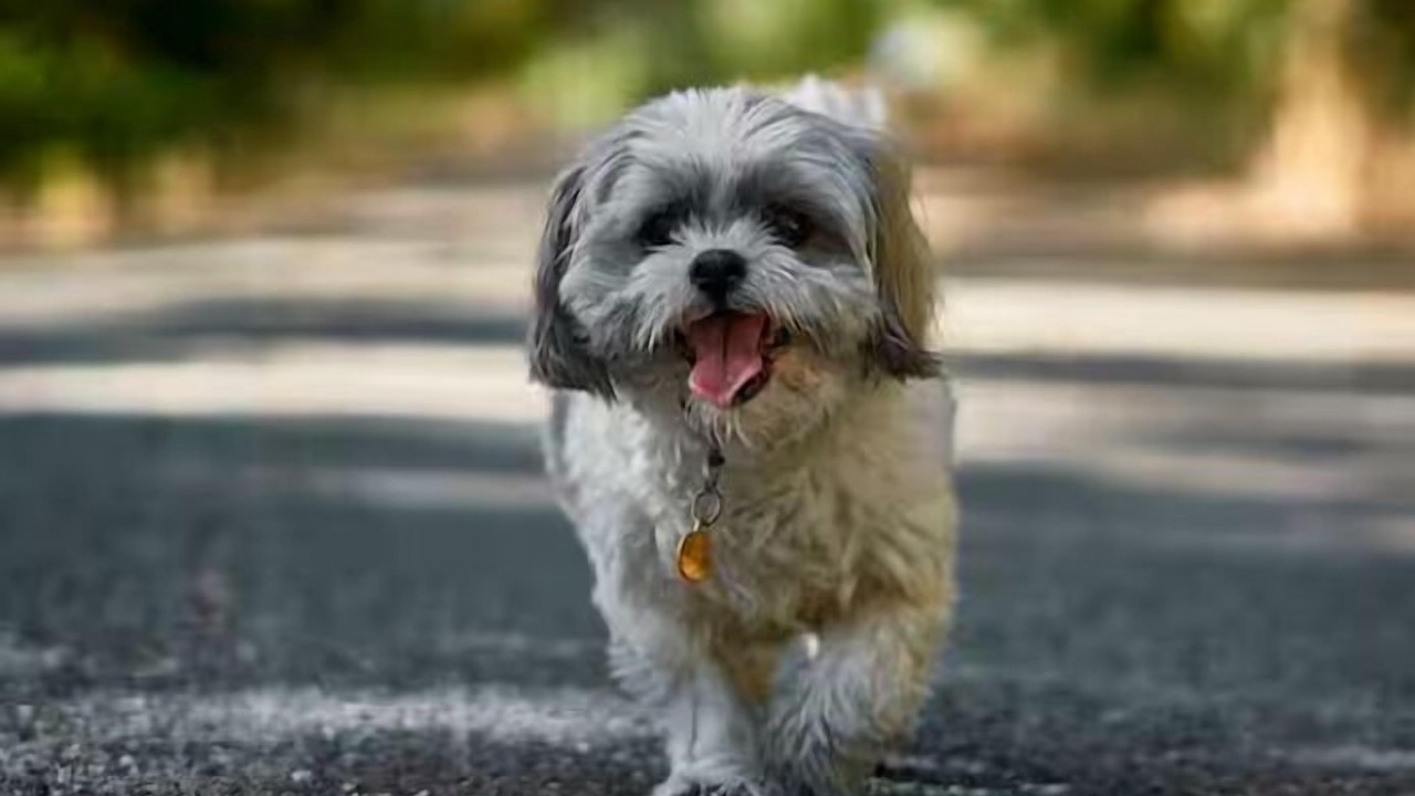 Photo of Others in Mermaid Beach