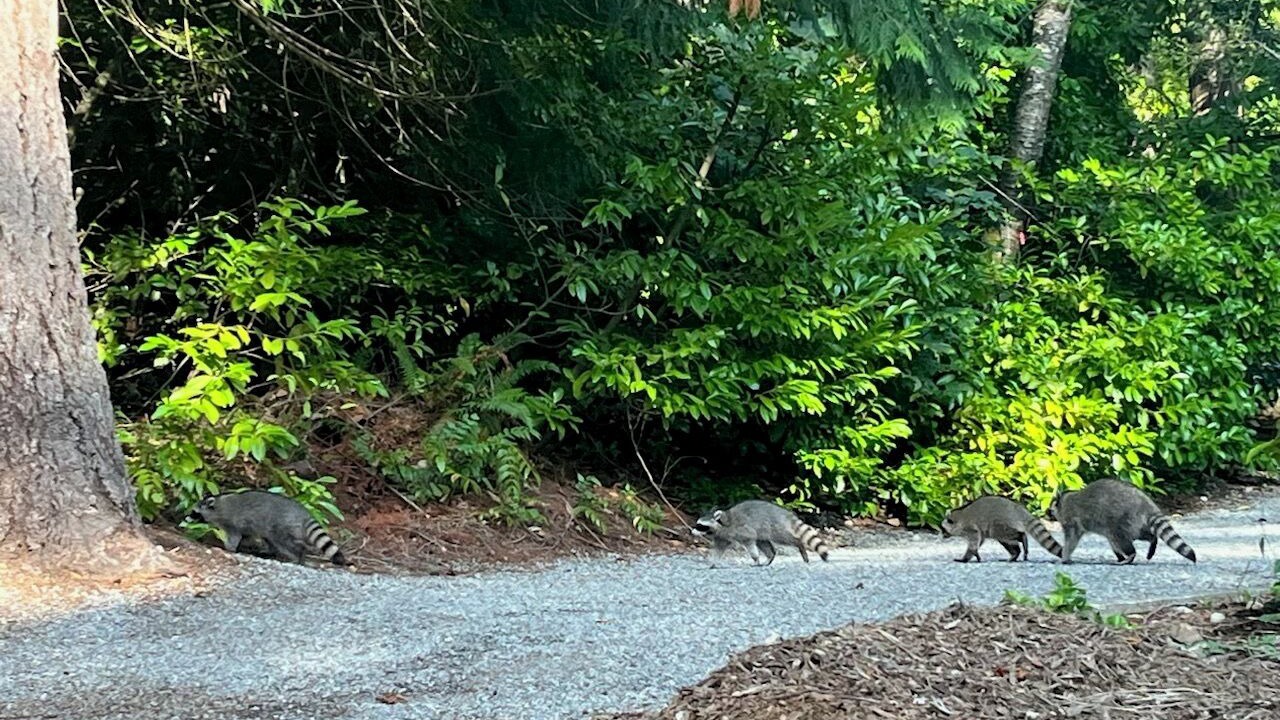 Photo of Outdoor in Union Hill-Novelty Hill