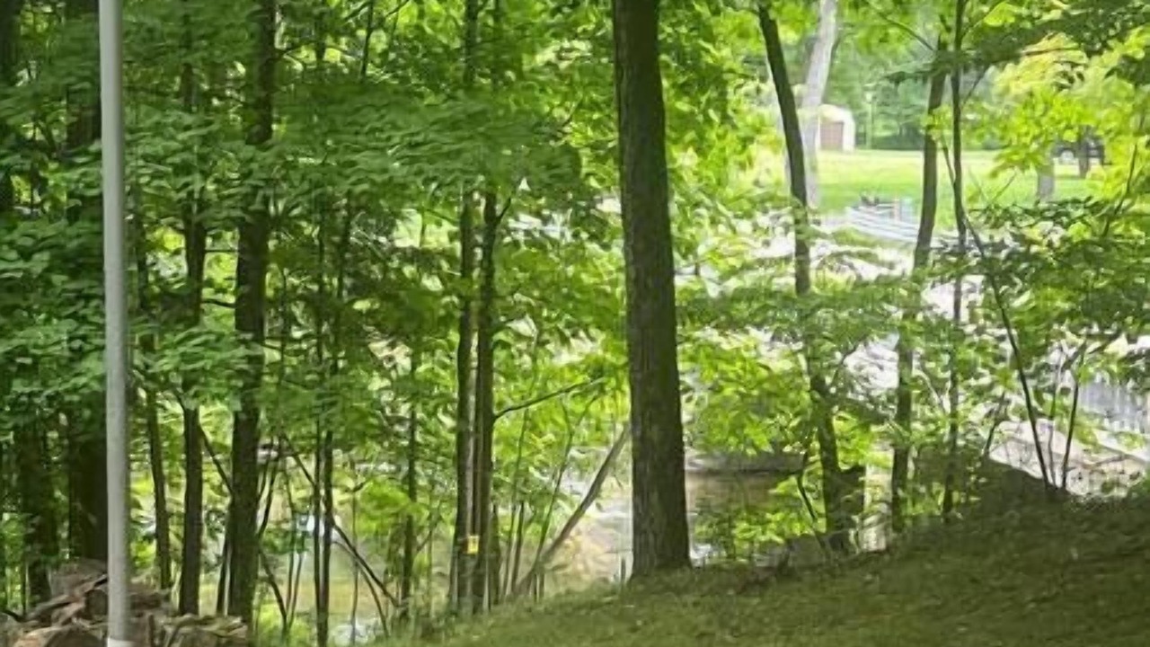 Photo of Others in Branch