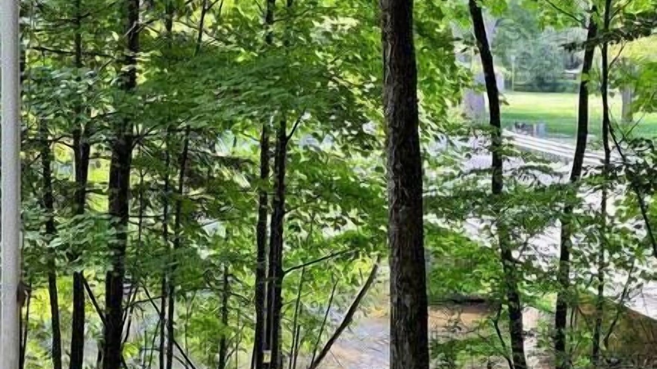 Photo of Others in Branch