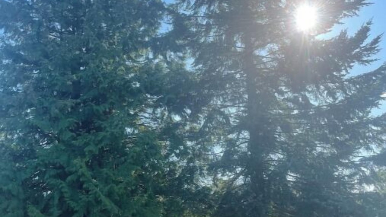 Photo of Outdoor in Kent