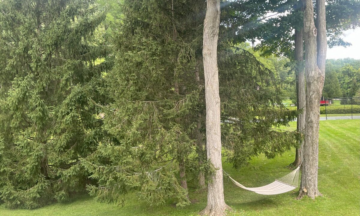 Photo of Others in Skaneateles
