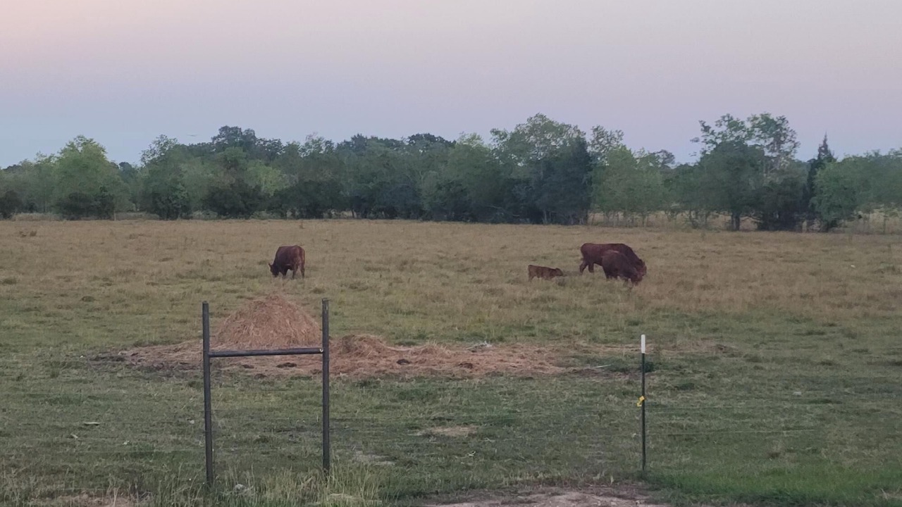Photo of Others in Bell City