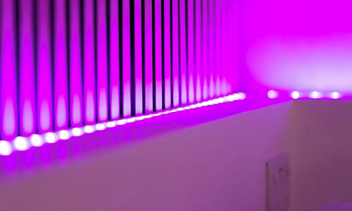 Photo of Others in Exeter