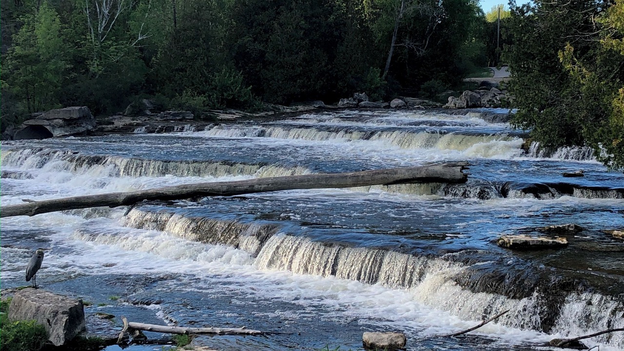 Photo of Others in South Bruce Peninsula