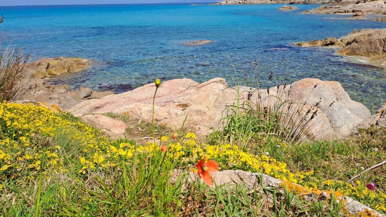 Photo of Others in Occhiatana