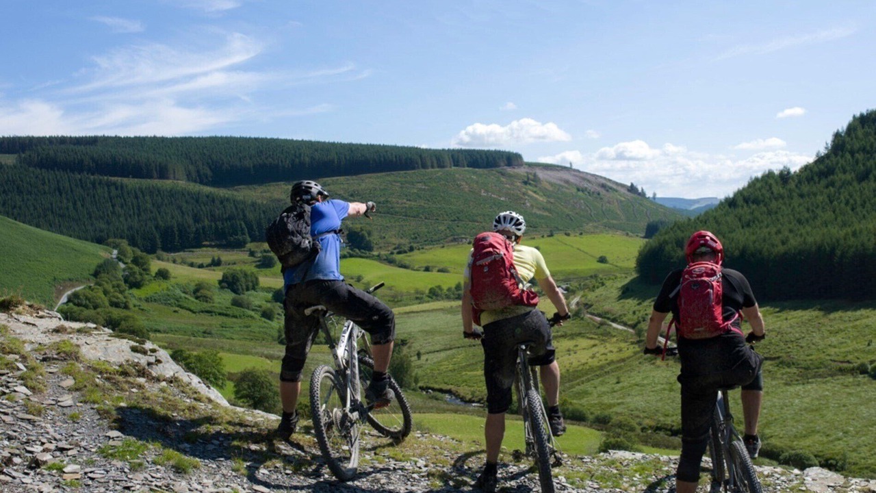 Photo of Others in Llandovery