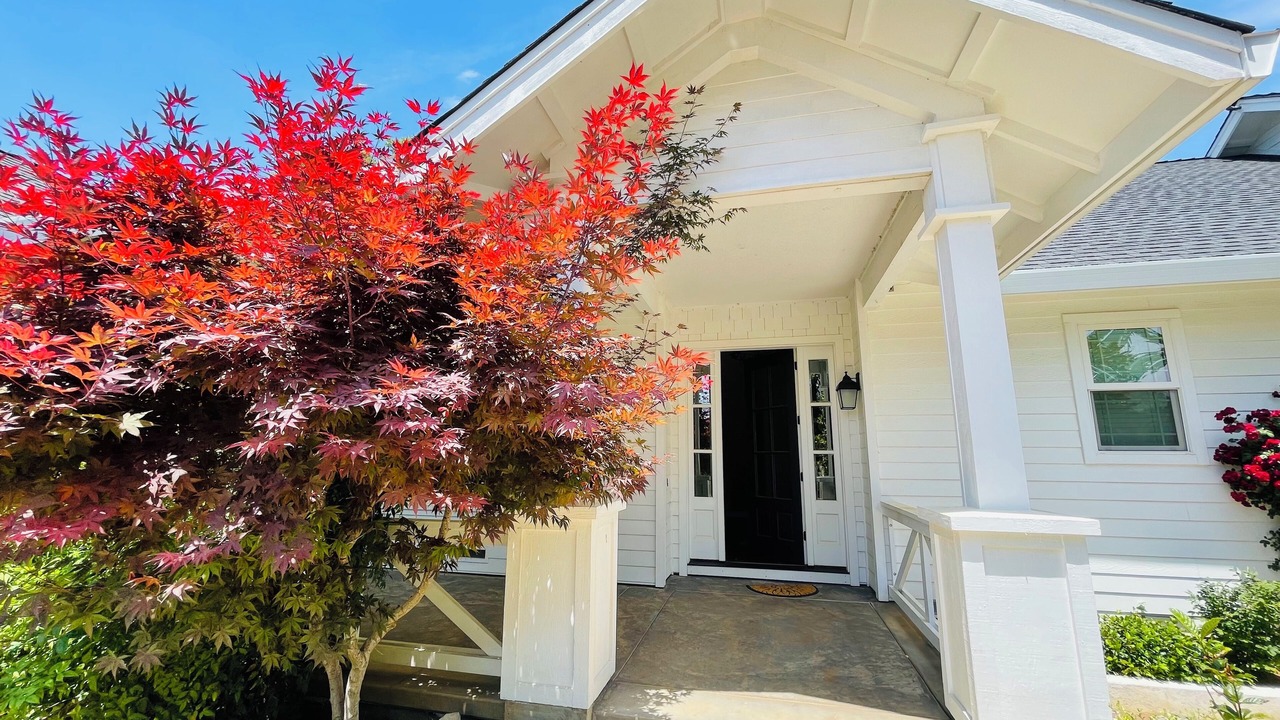 Photo of Outdoor in Murphys