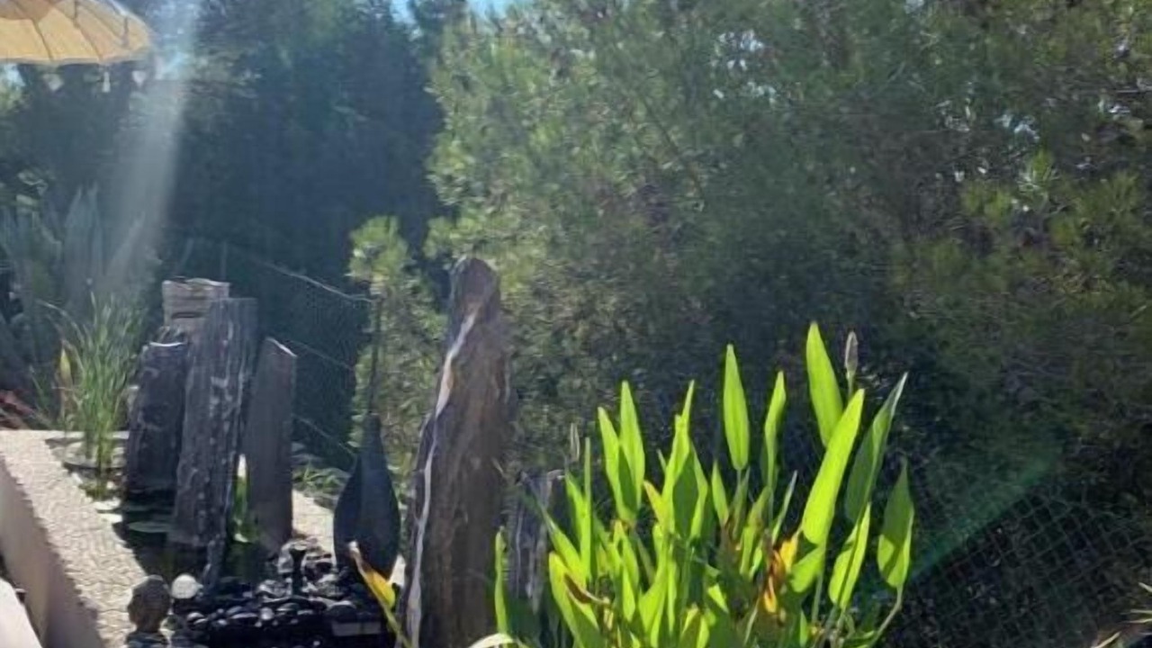 Photo of Outdoor in Les 3 Ponts