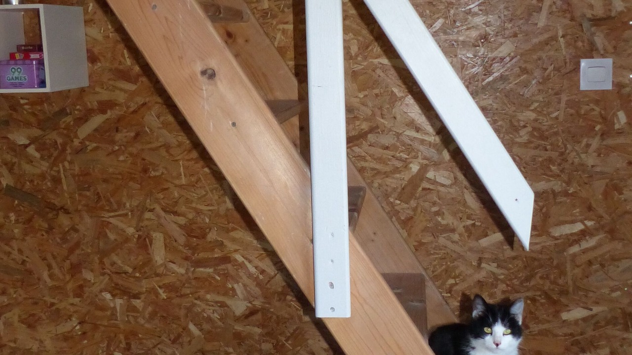 Photo of Others in Saint-Pierre-Eynac