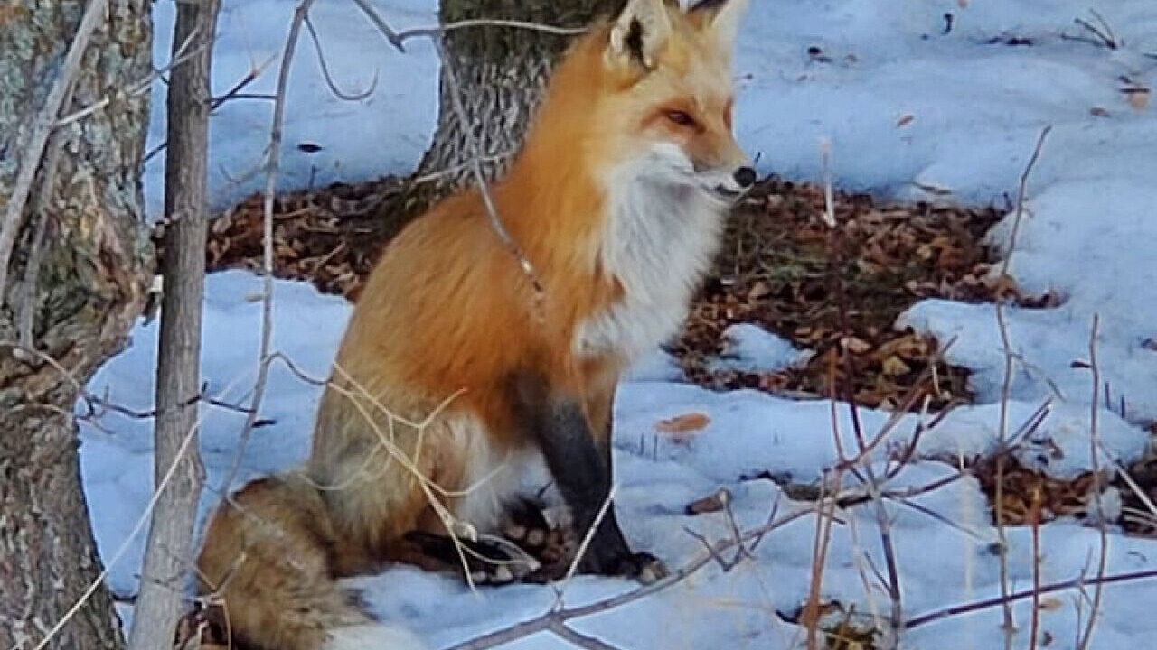 Photo of Others in Arnes