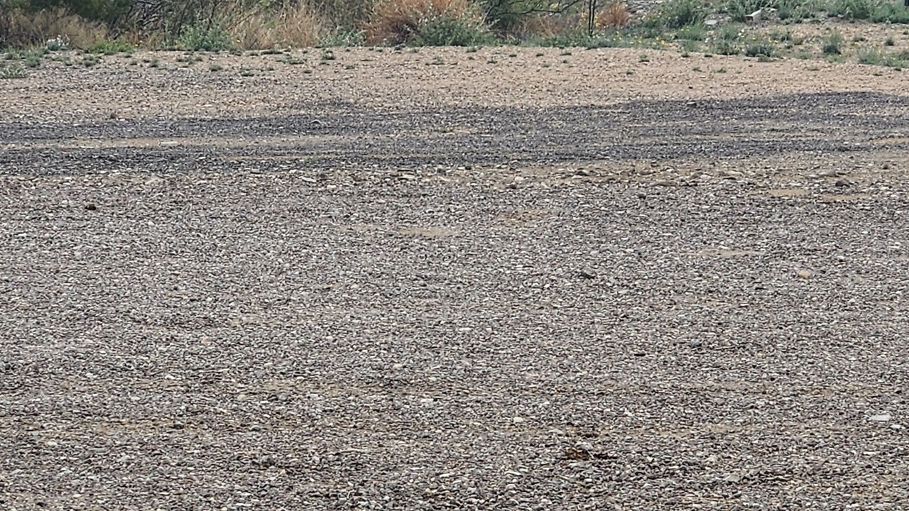 Photo of Outdoor in Study Butte-Terlingua