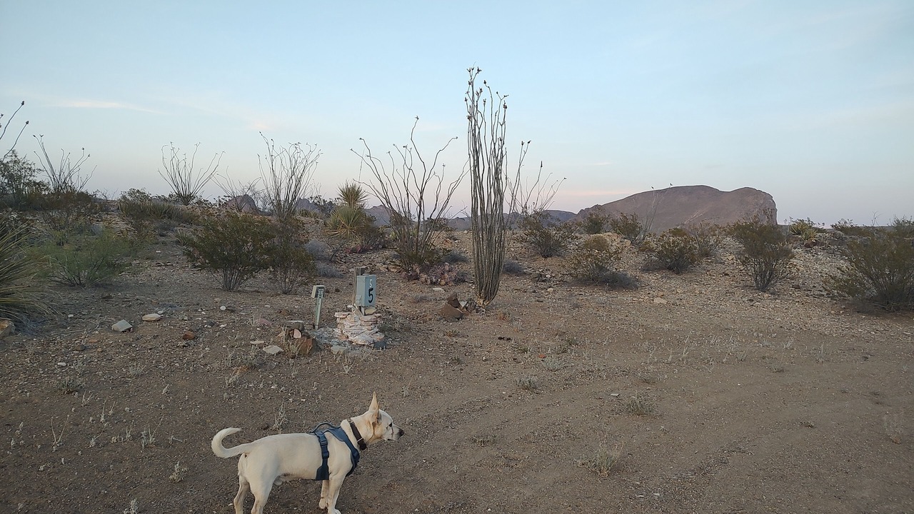 Photo of Others in Study Butte-Terlingua