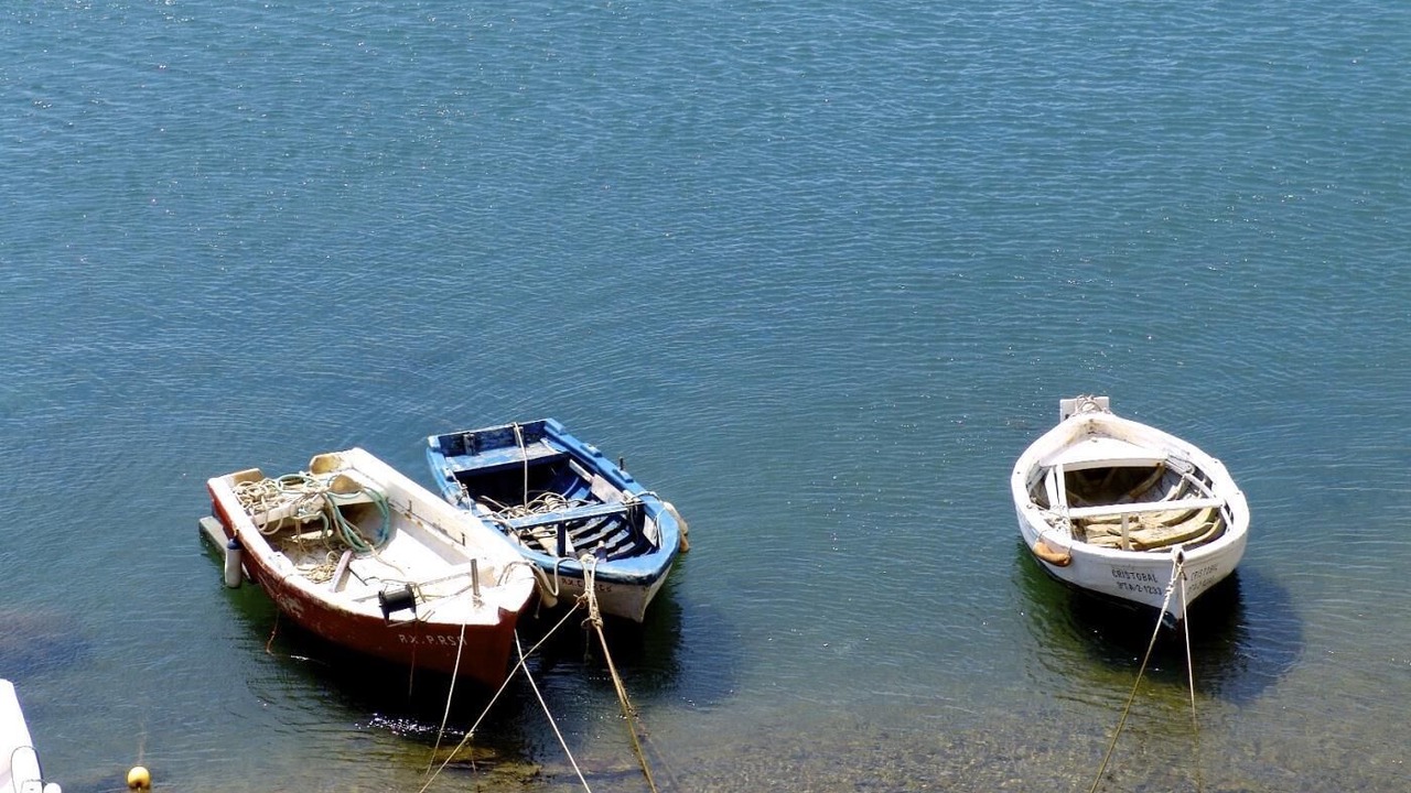 Photo of Others in L'Ametlla de Mar