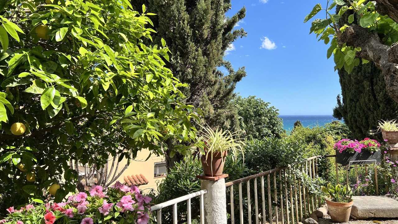 Photo of Outdoor in Arenys de Mar