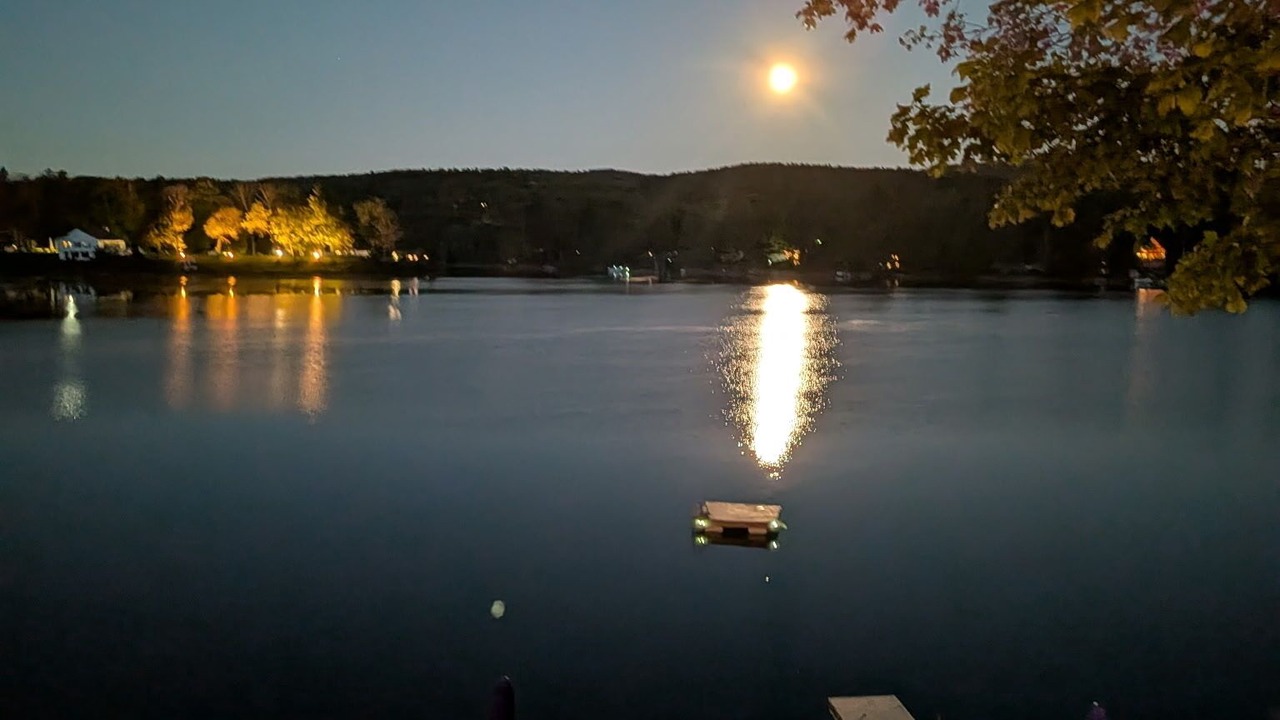 Photo of Others in Hamilton