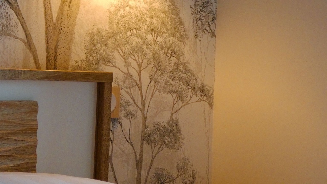 Photo of Bedroom in Vouille