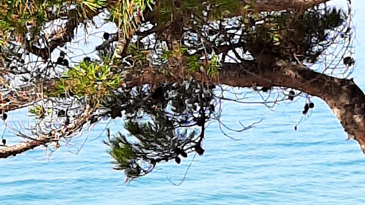 Photo of Others in El Roc de Sant Gaieta