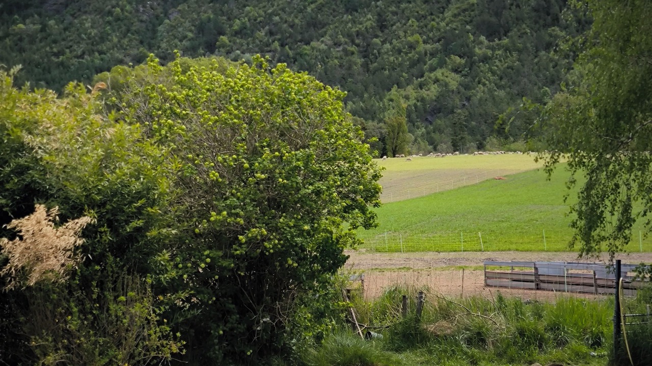 Photo of Others in Le Brusquet