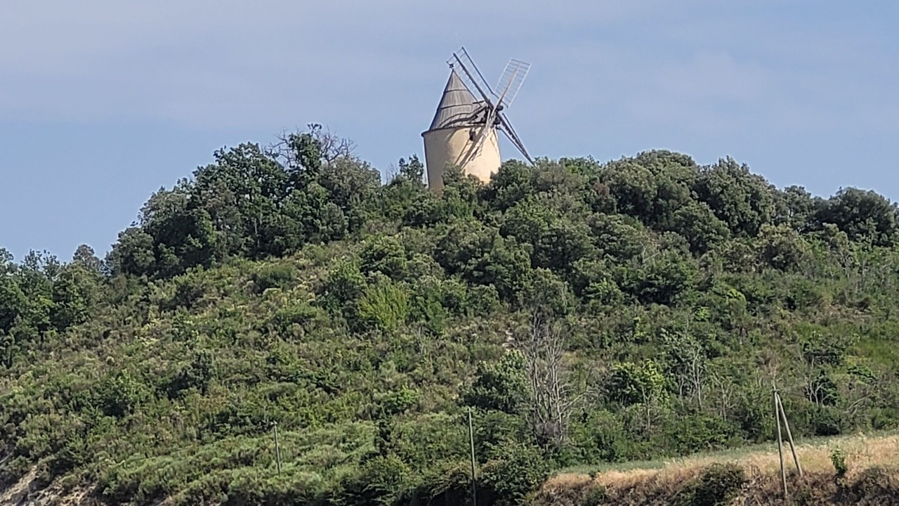 Photo of Others in Saint-Michel-l'Observatoire