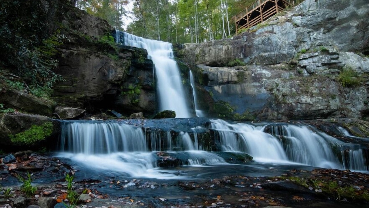 Photo of Outdoor in Unaka