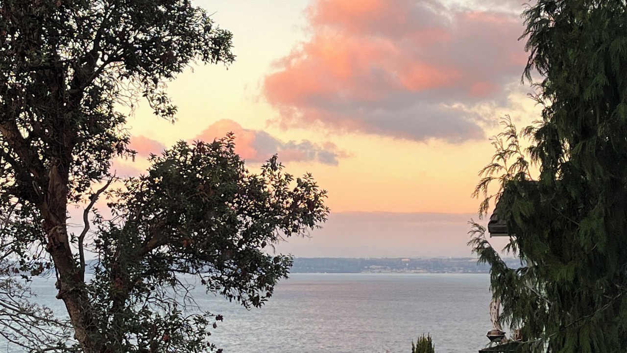 Photo of Patio Balcony in Tacoma