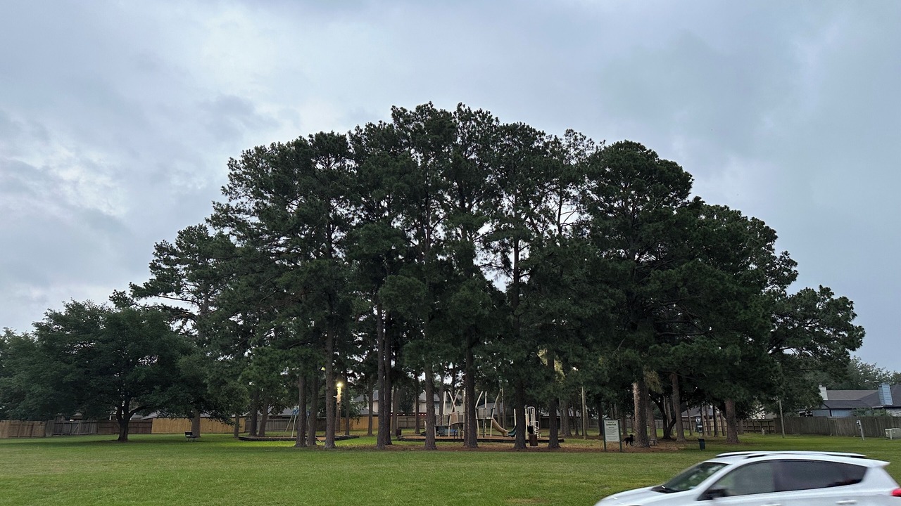 Photo of Outdoor in Tomball