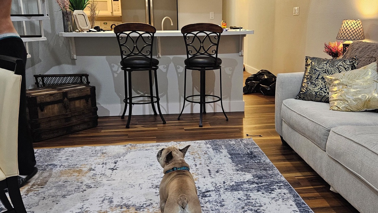 Photo of Livingroom in Walden on Lake Conroe