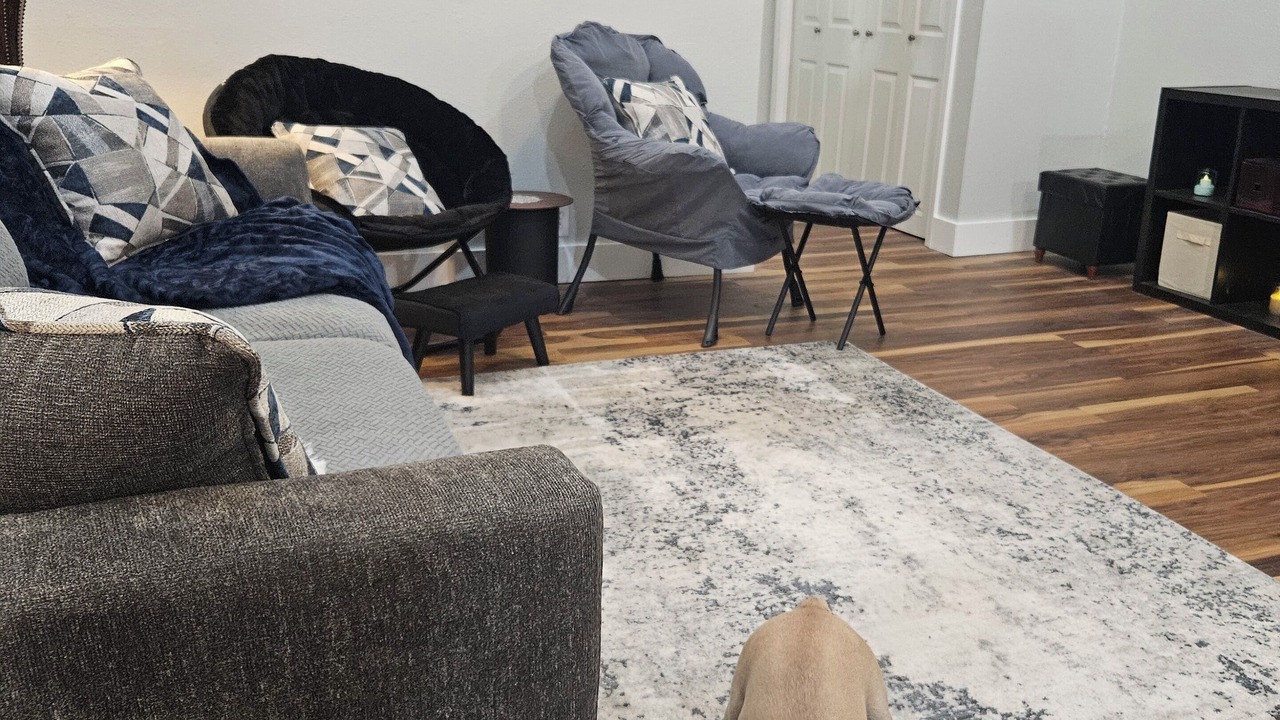 Photo of Livingroom in Walden on Lake Conroe