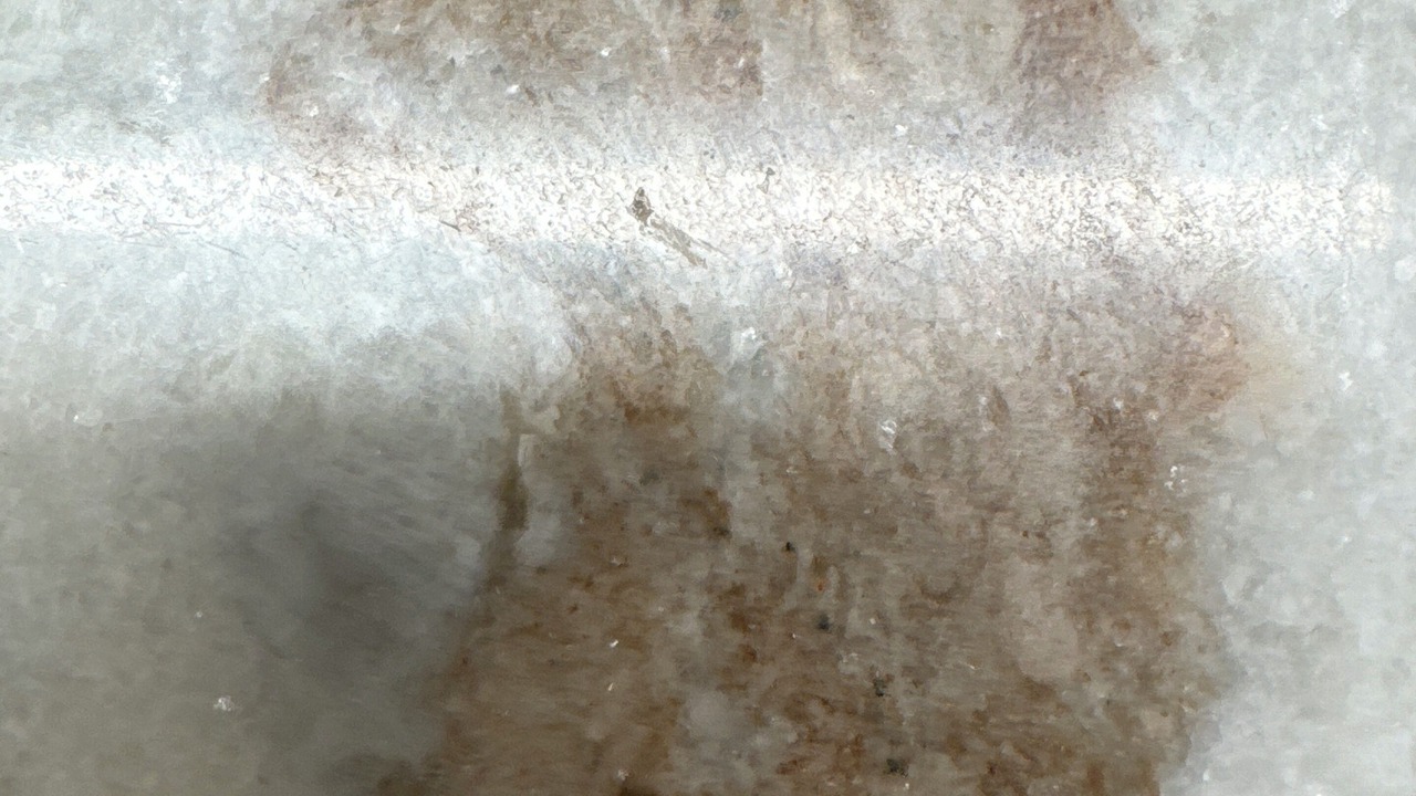 Photo of Others in Land O' Lakes