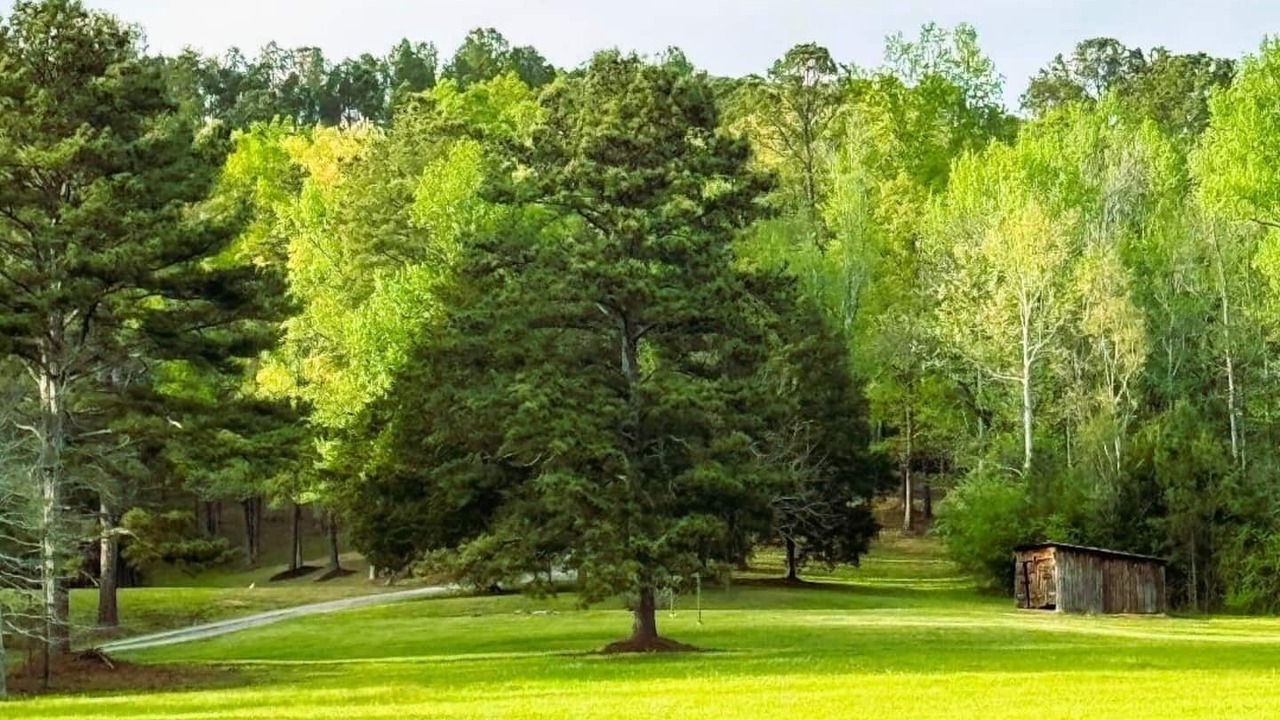 Photo of Others in Rosa