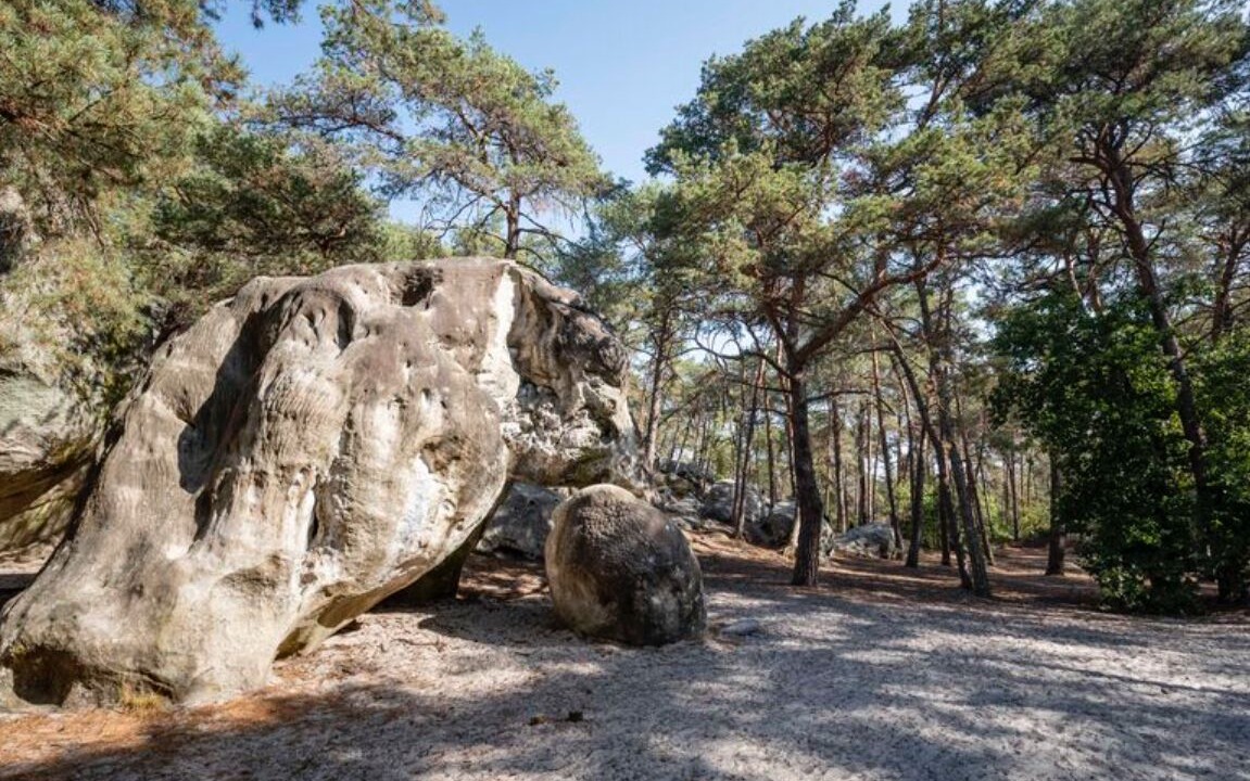 Photo of Outdoor in Chevrainvilliers