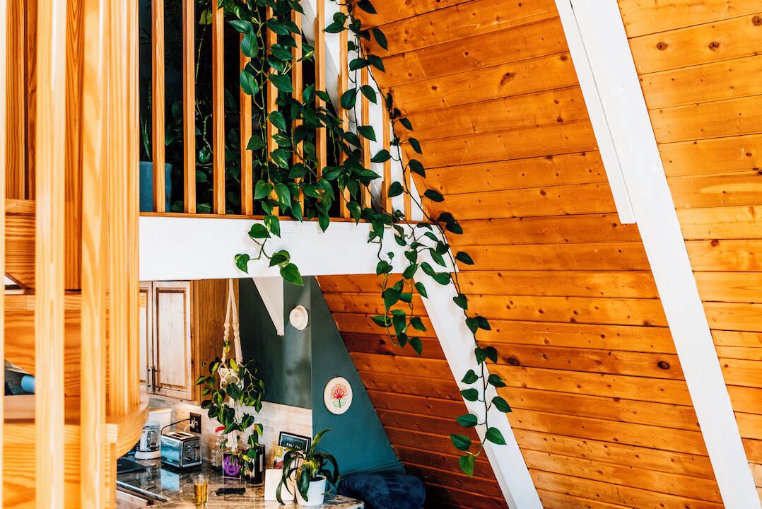 Photo of Livingroom in Divide