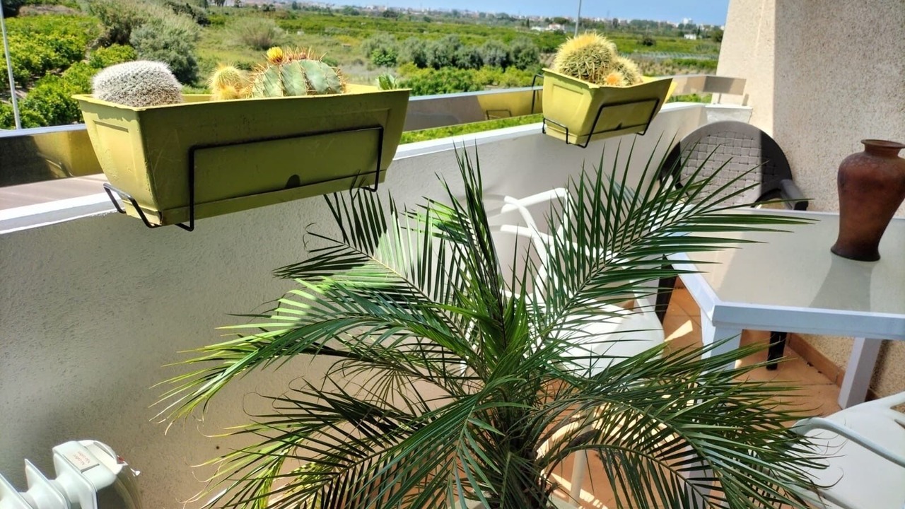 Photo of Outdoor in Miramar